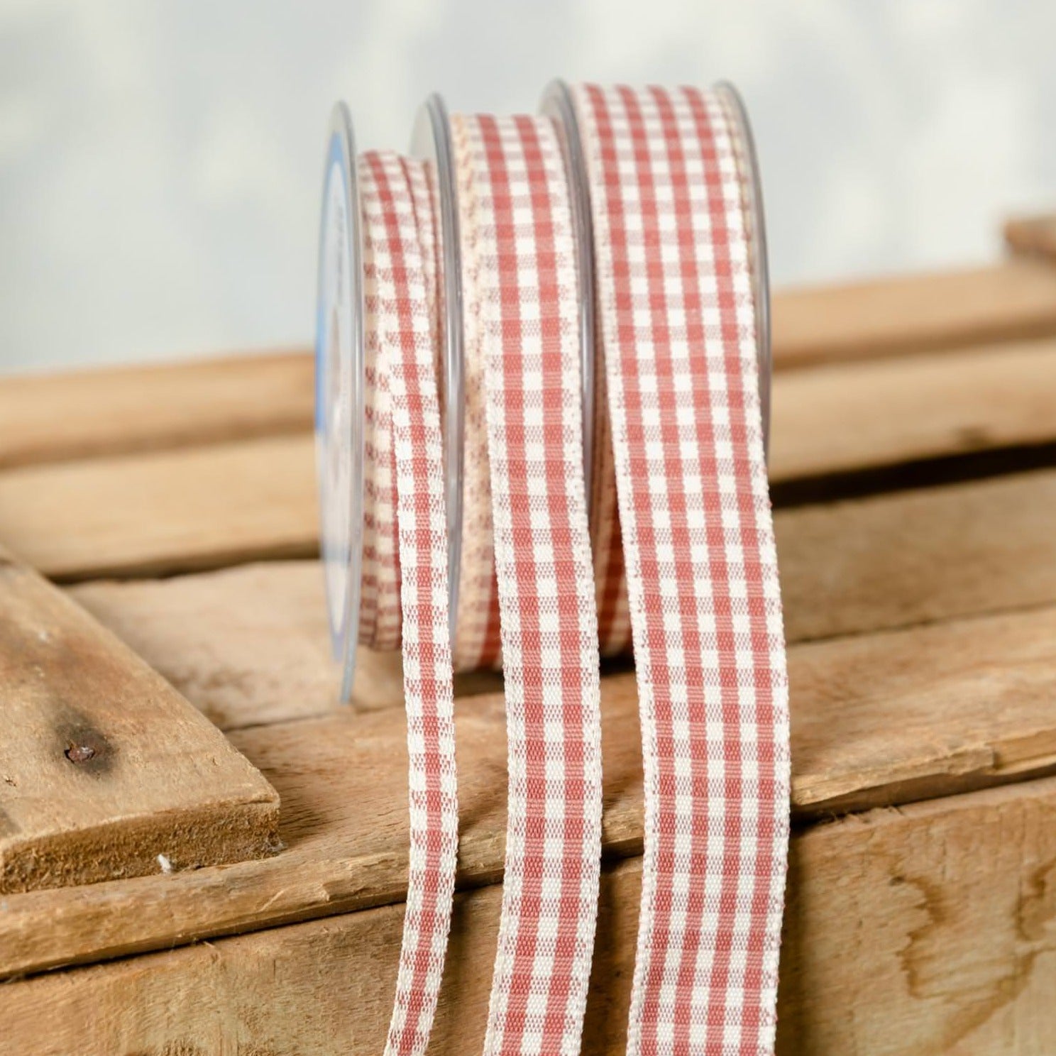 Lazos Vichy · Rosa (3 grosores)